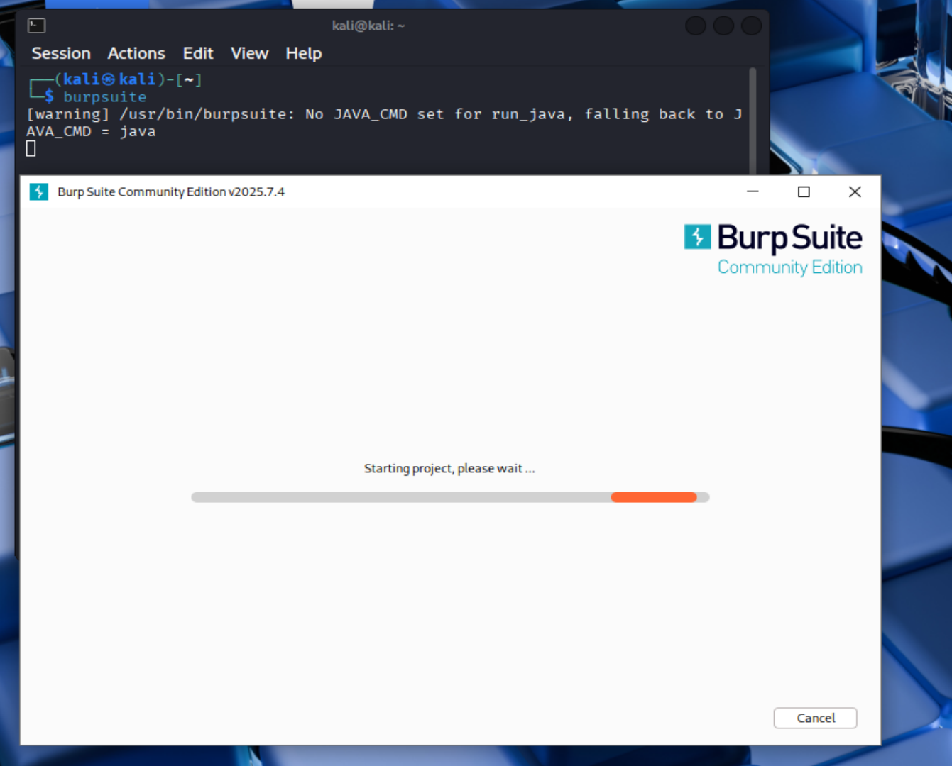 Burpsuite-strat